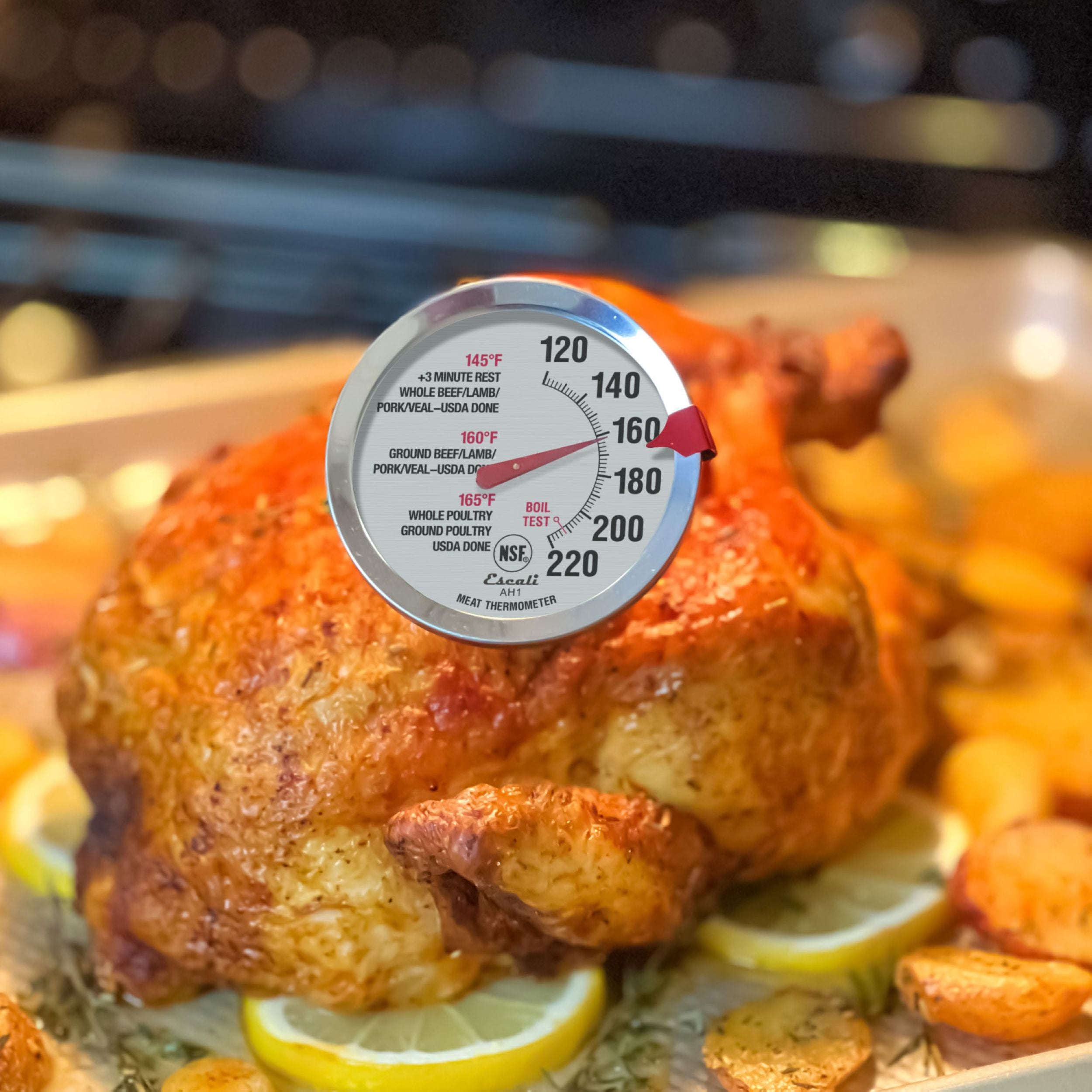 Oven Safe Meat Thermometer