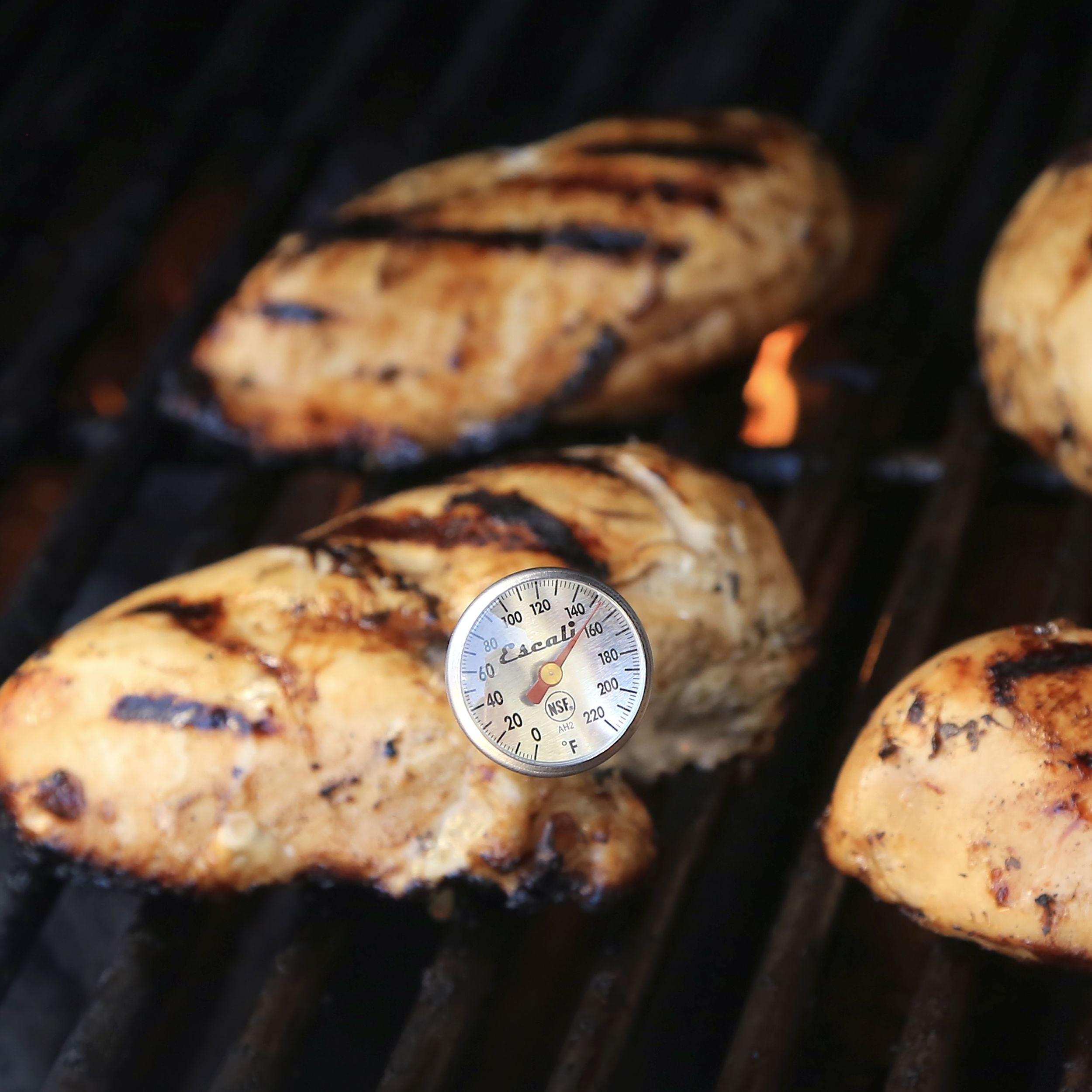 Instant Read Dial Thermometer (Fahrenheit)