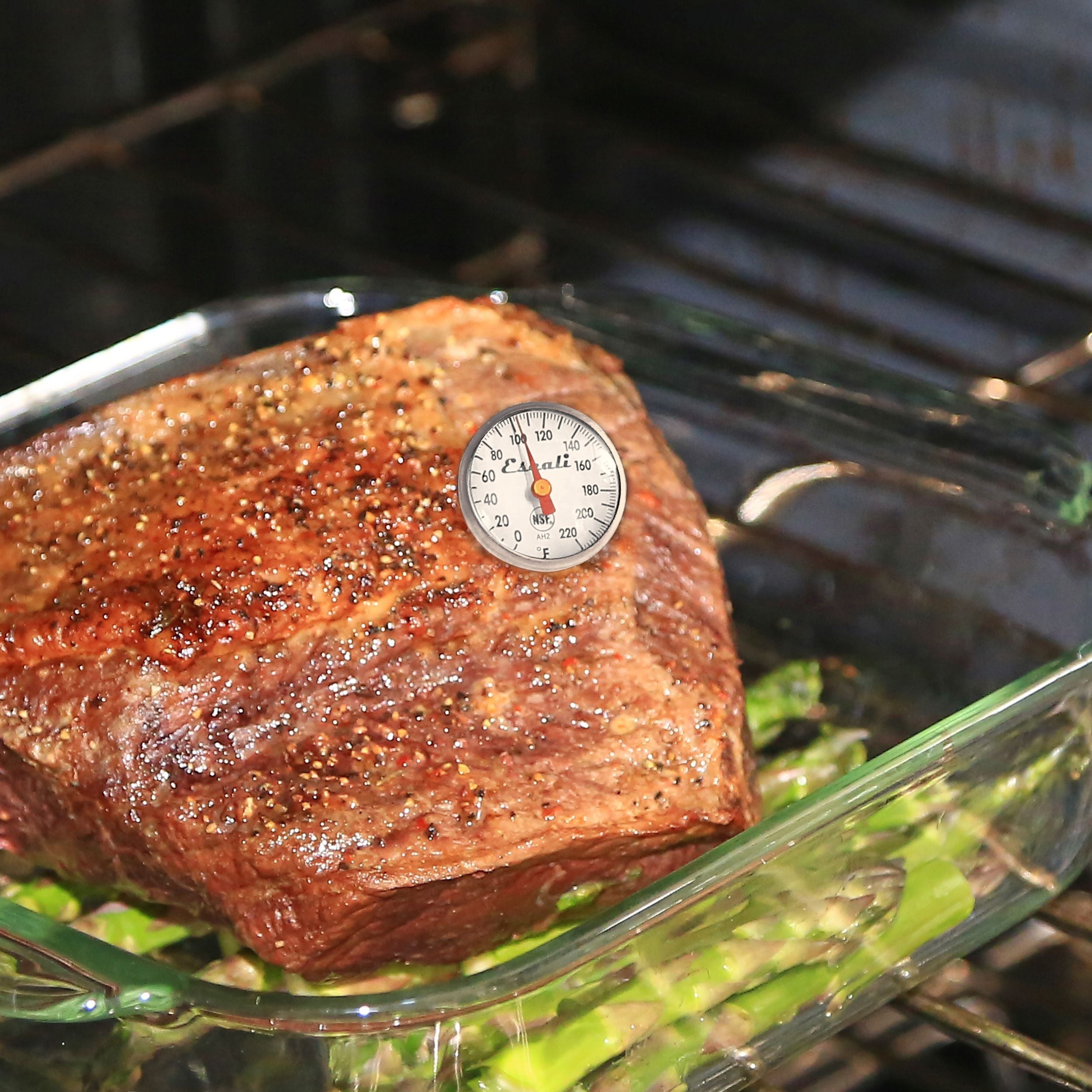 Home Thermometer Bundle (DH1-B, AHC1, AH2)