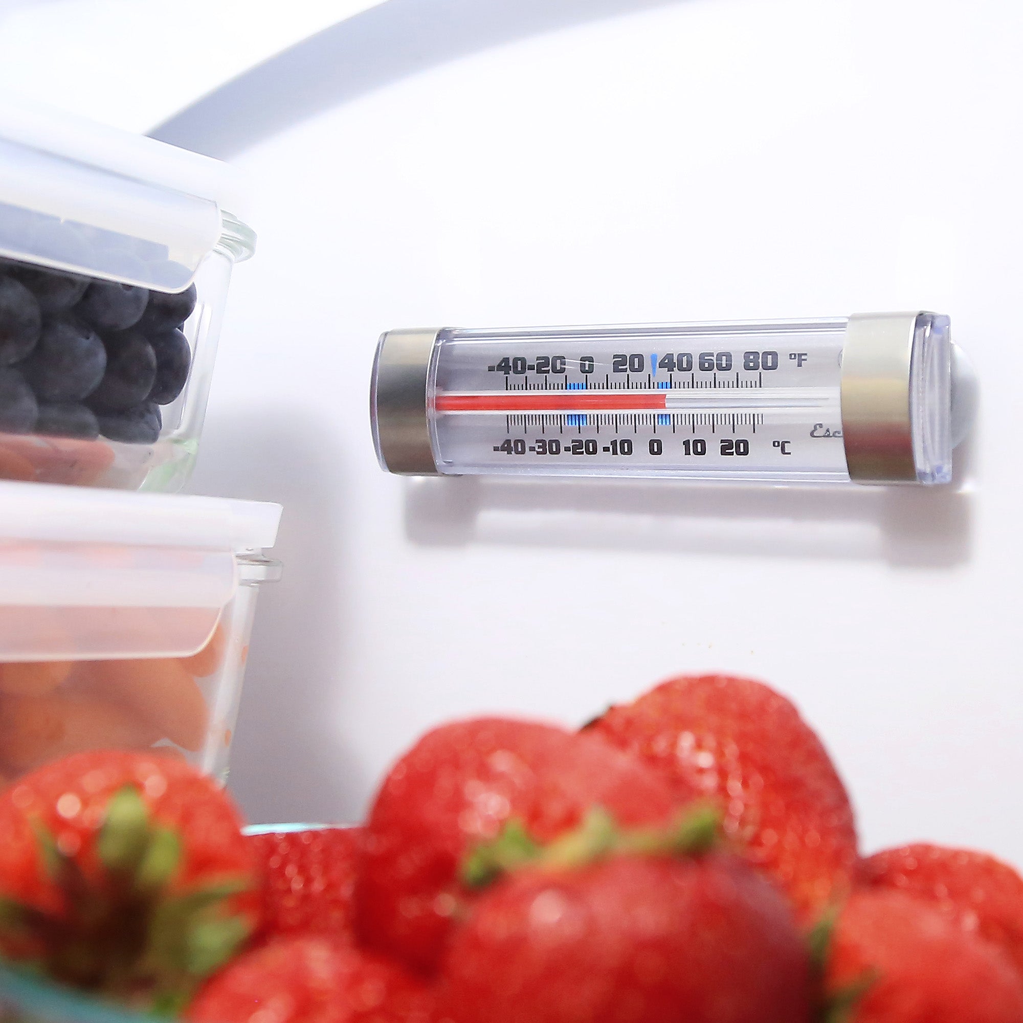 Column Refrigerator / Freezer Thermometer