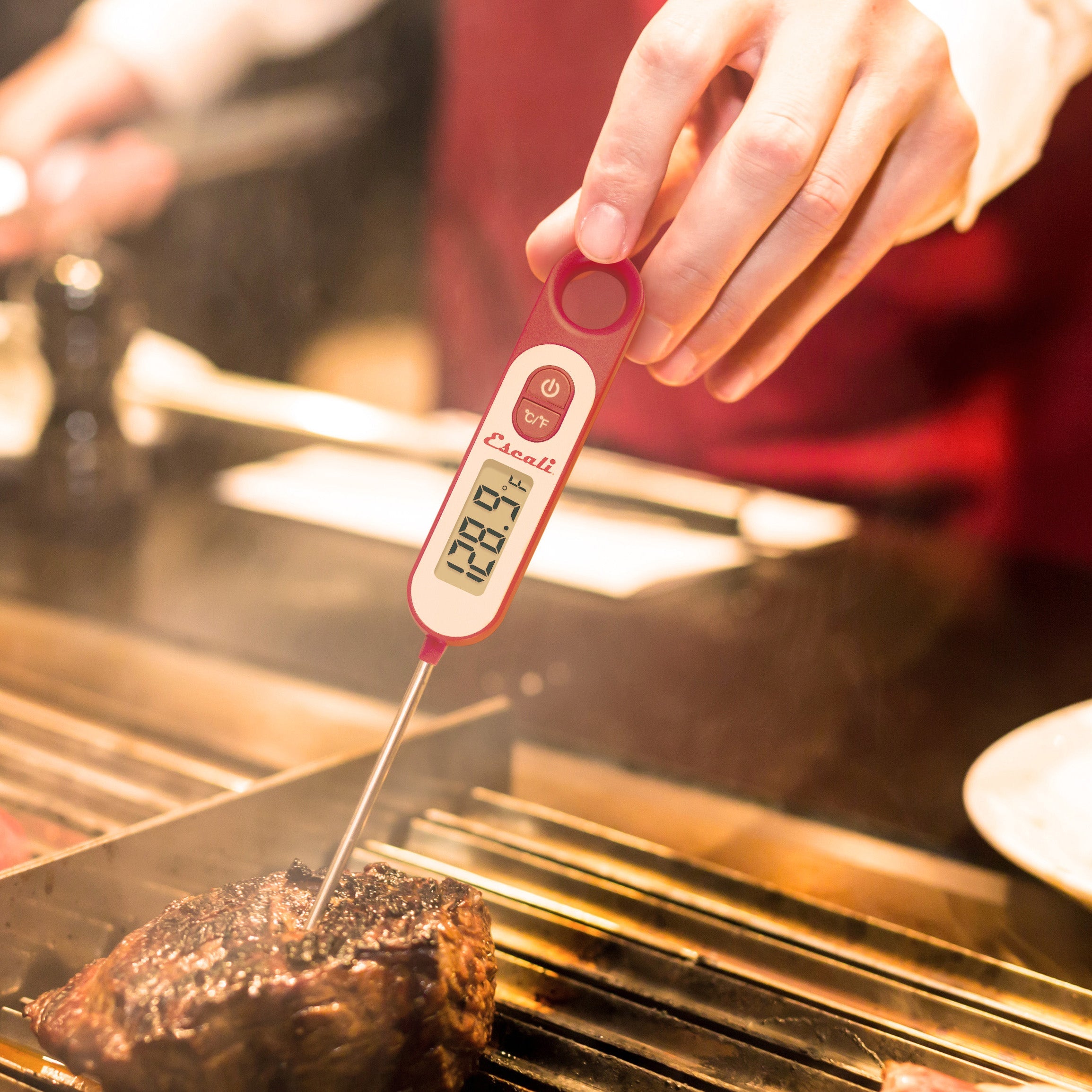 Long Stem Digital Thermometer