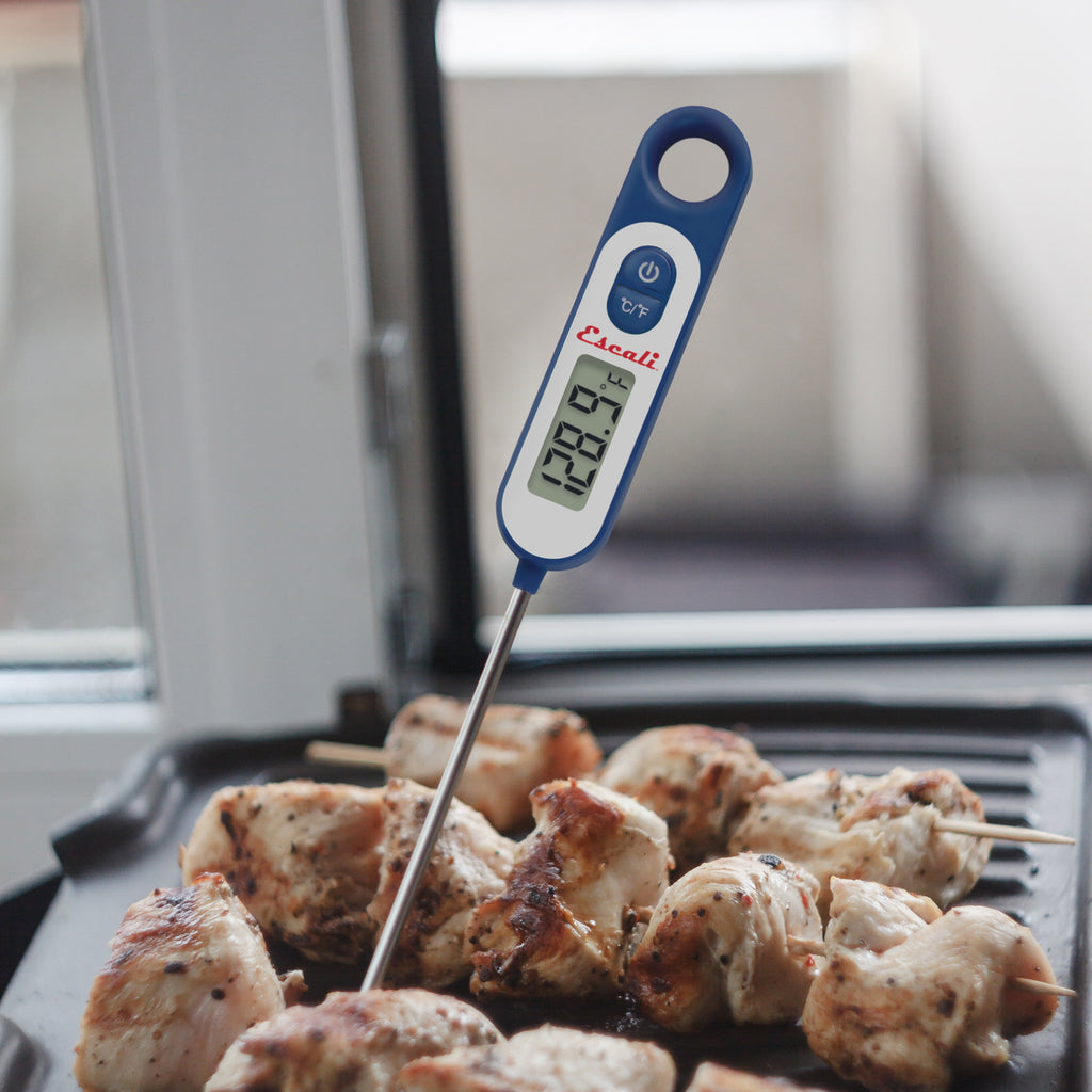 Long Stem Digital Thermometer