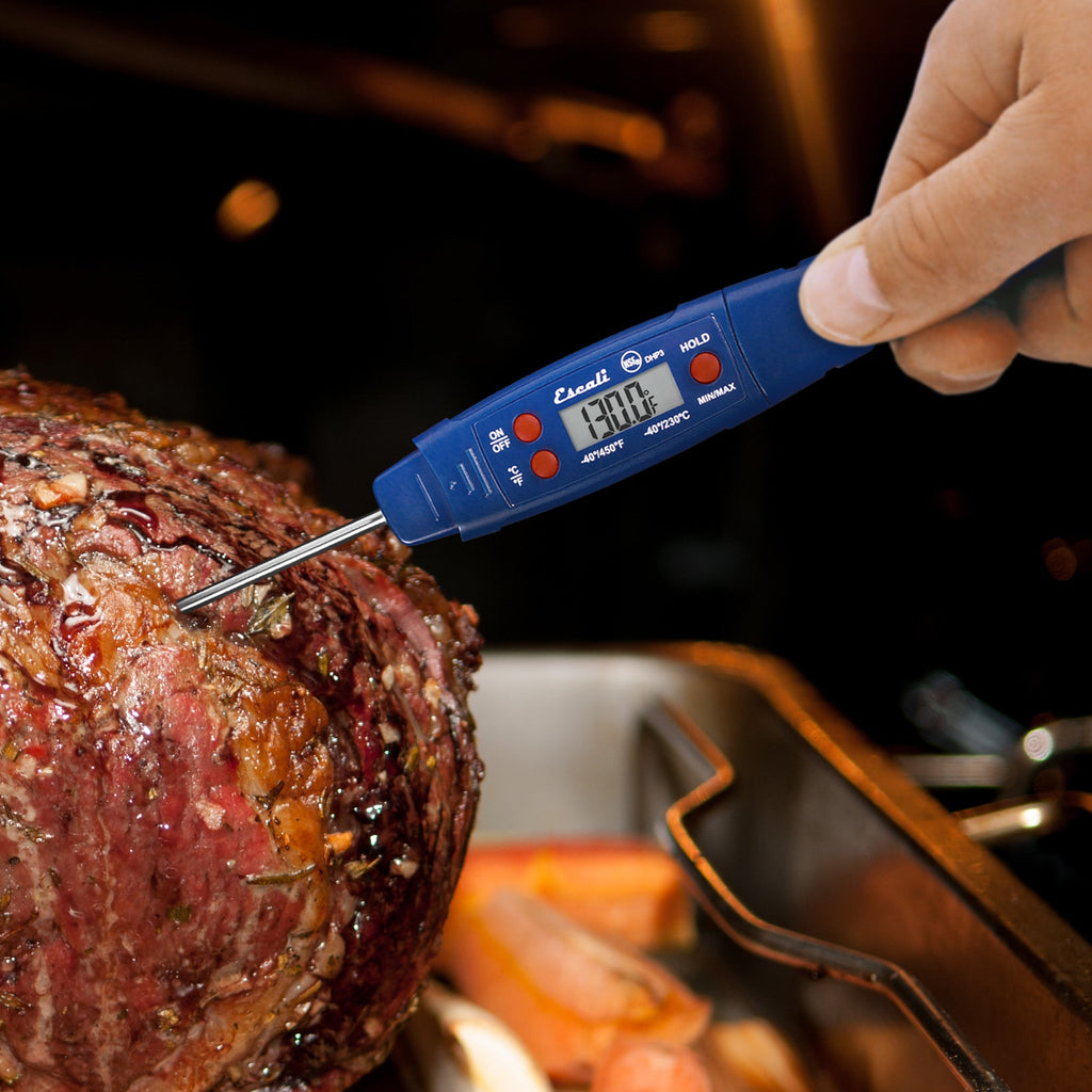 Waterproof Digital Thermometer