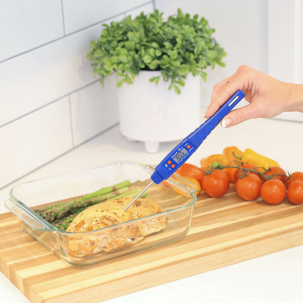 Waterproof Digital Thermometer