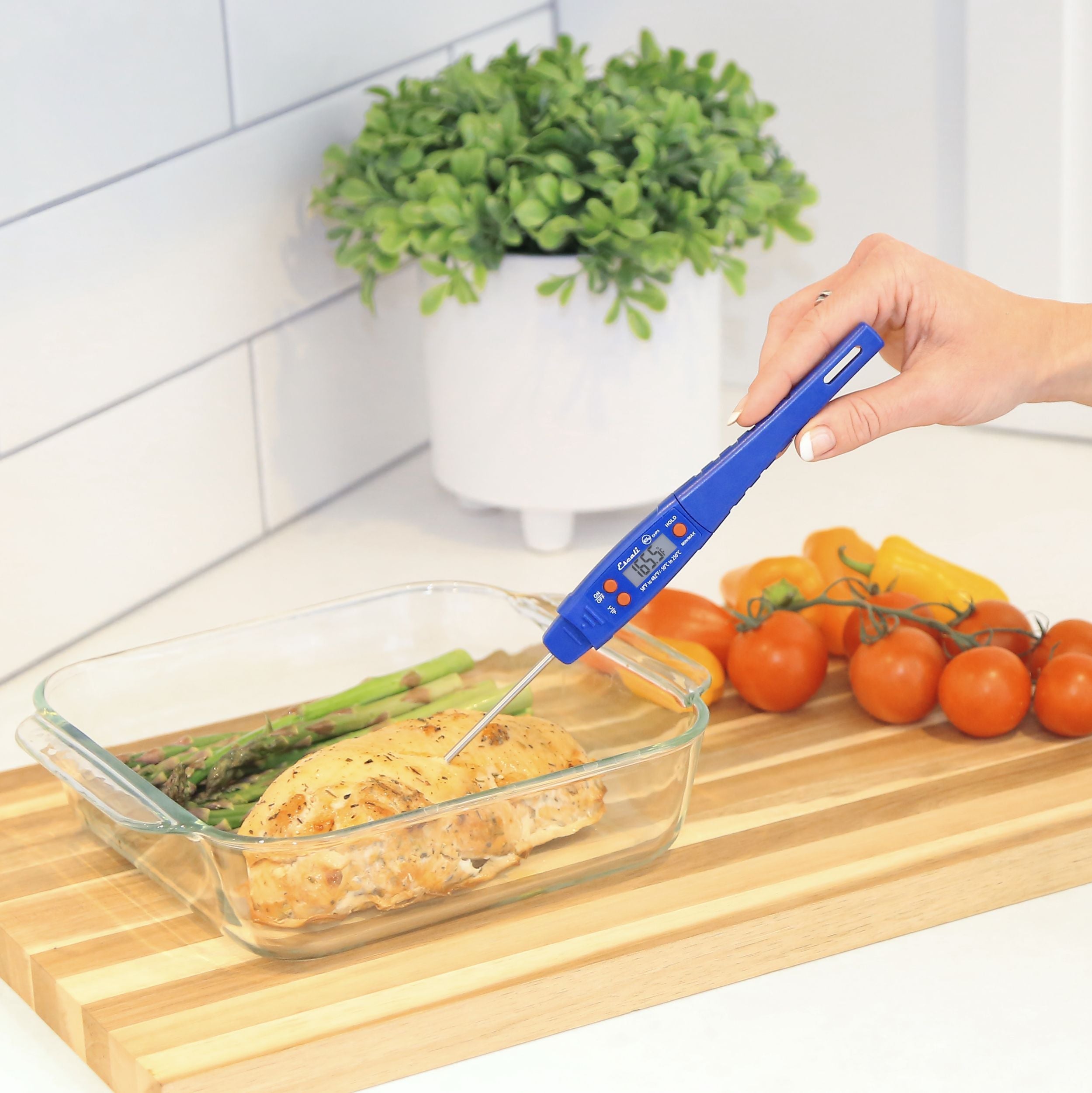 Waterproof Digital Thermometer