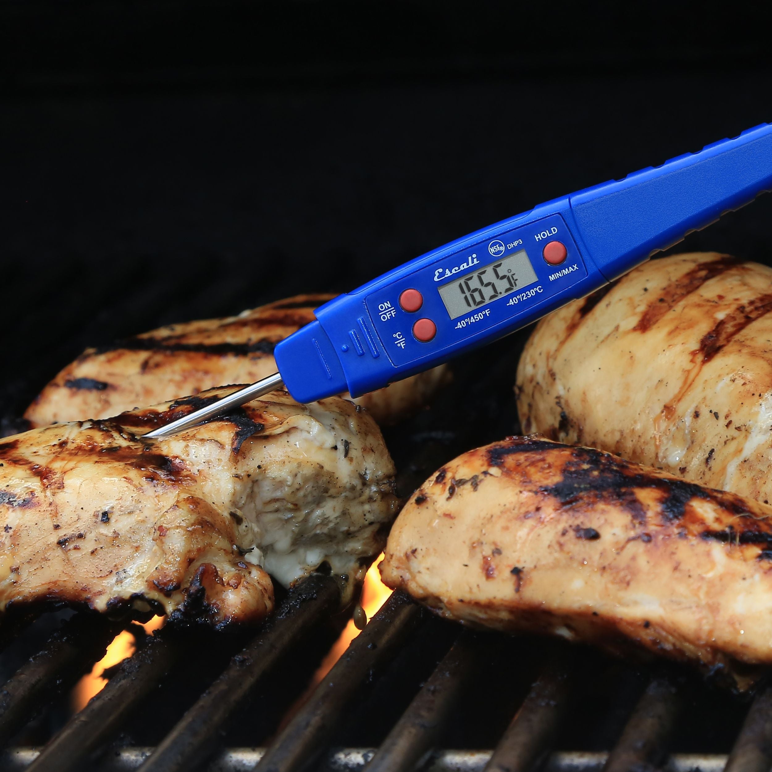 Waterproof Digital Thermometer