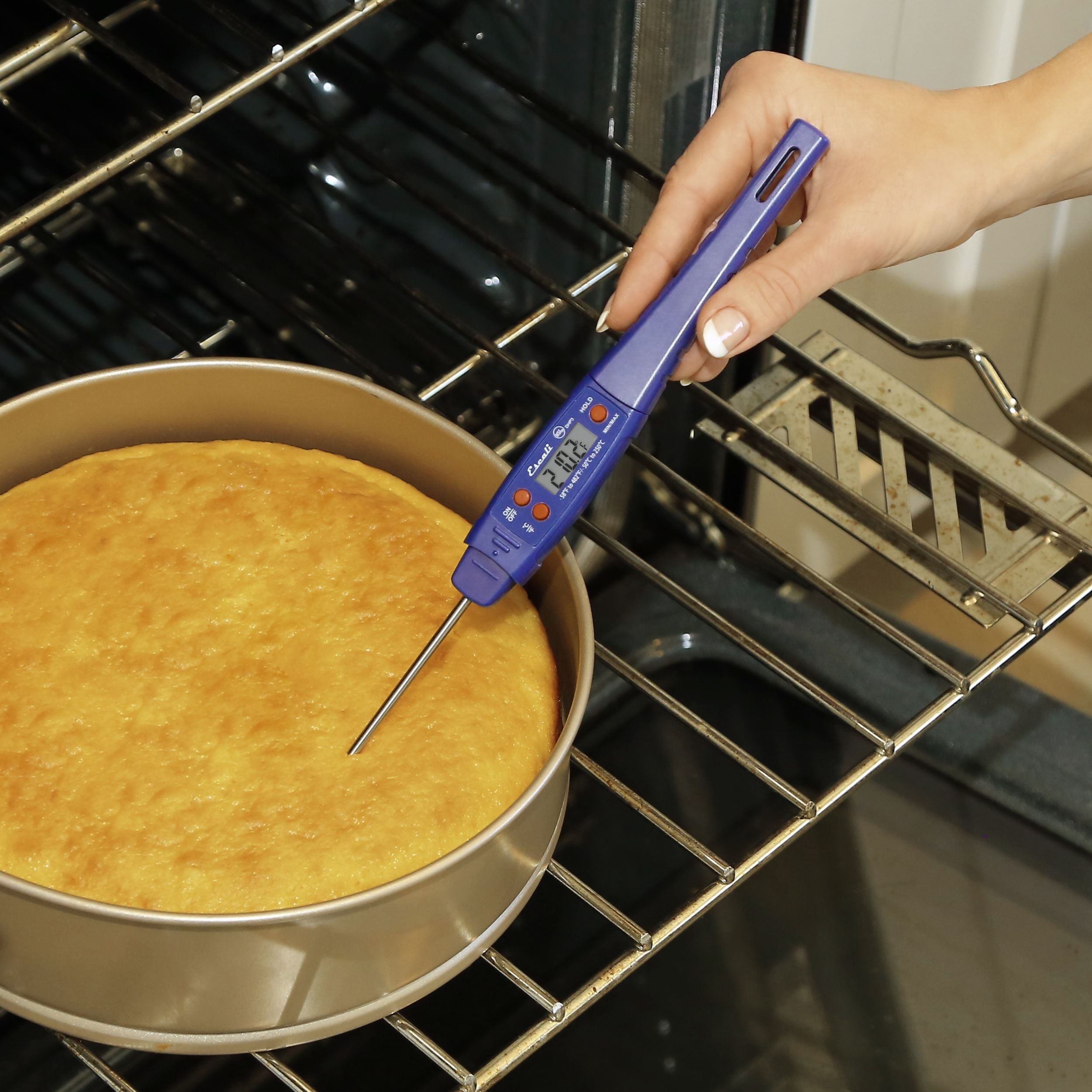 Waterproof Digital Thermometer