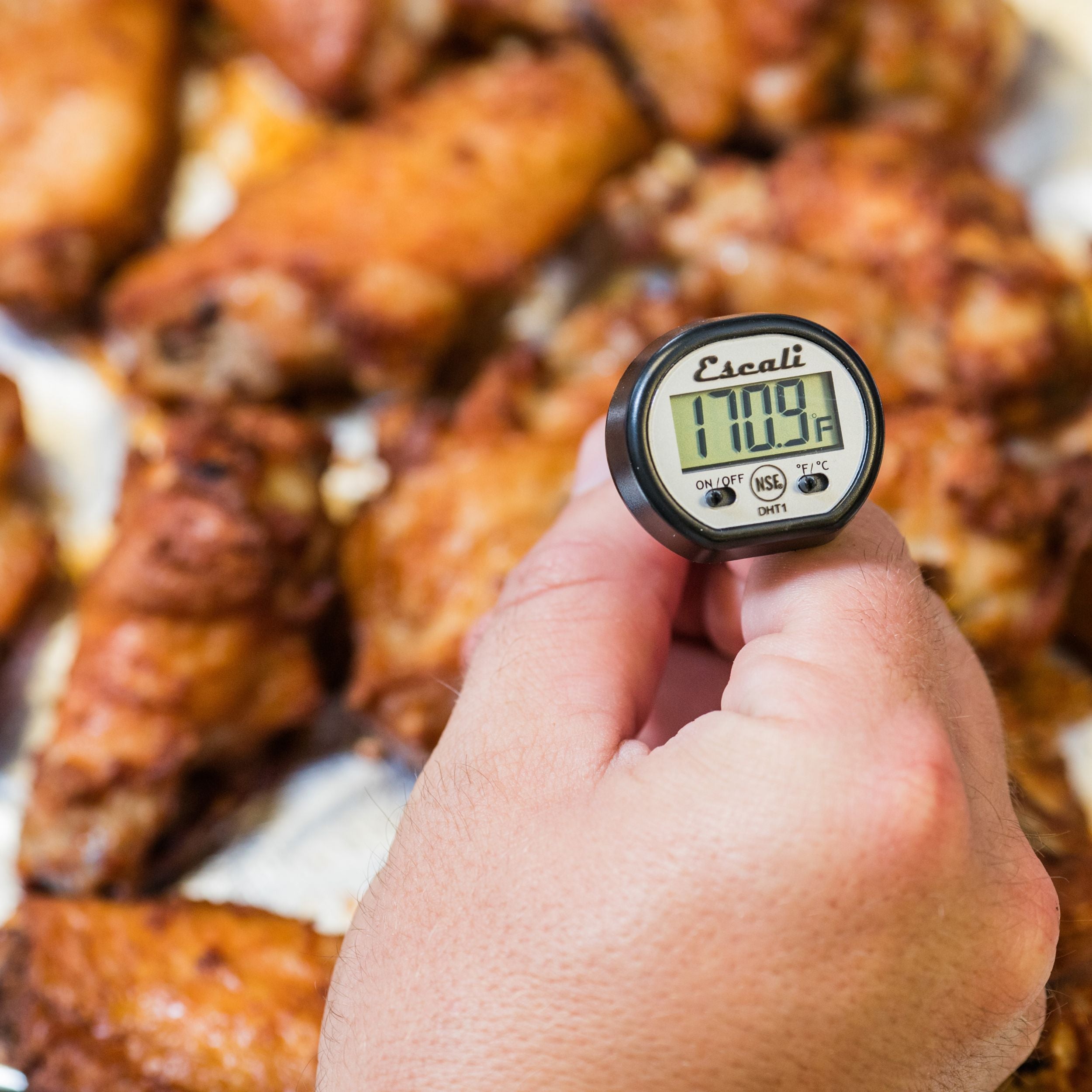 Digital Pocket Thermometer