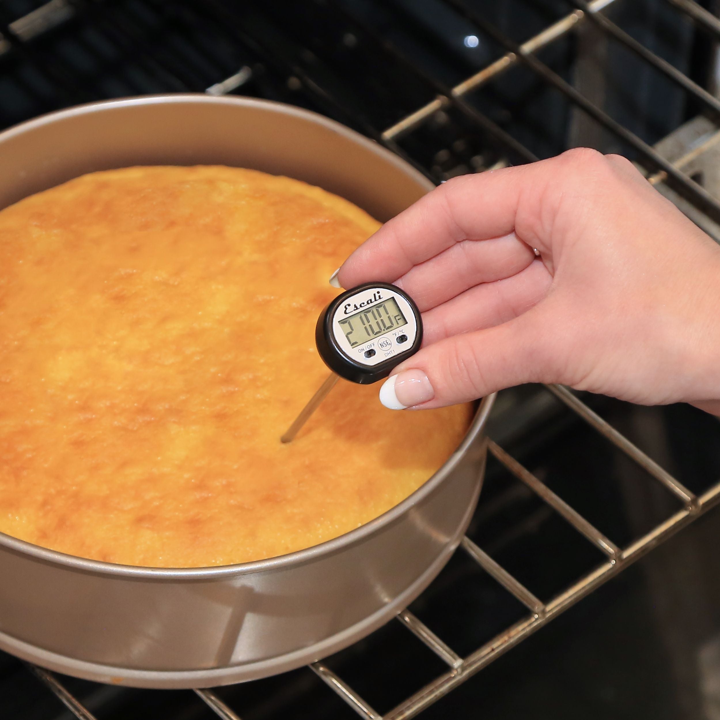 Digital Pocket Thermometer