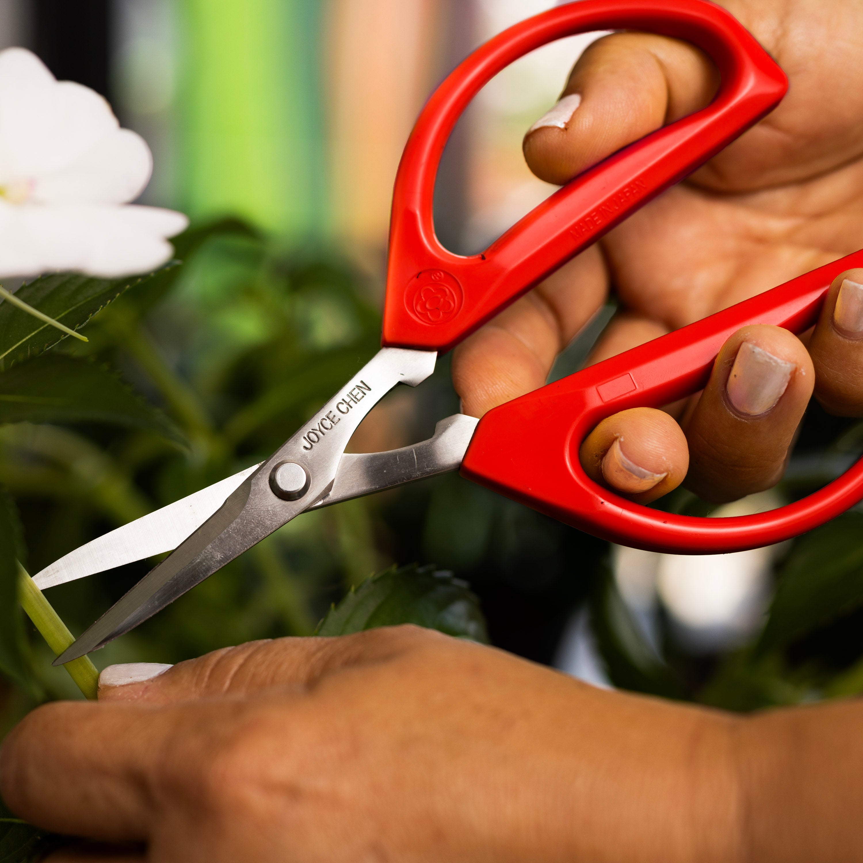 Scissor and Cutting Board Set, 2 piece