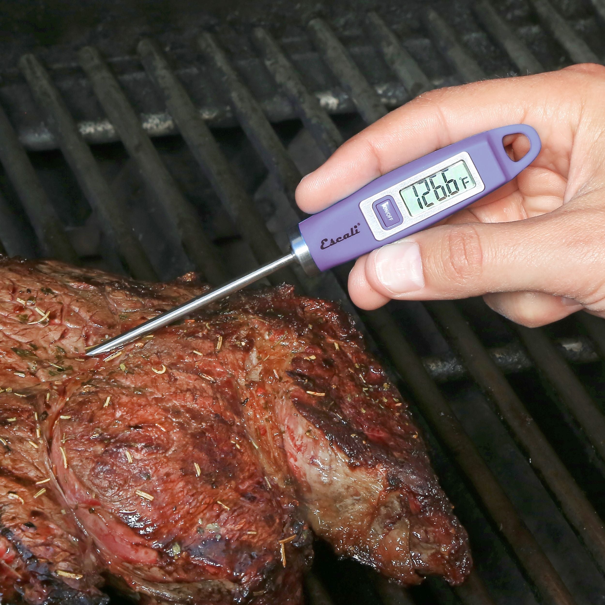 Gourmet Digital Thermometer