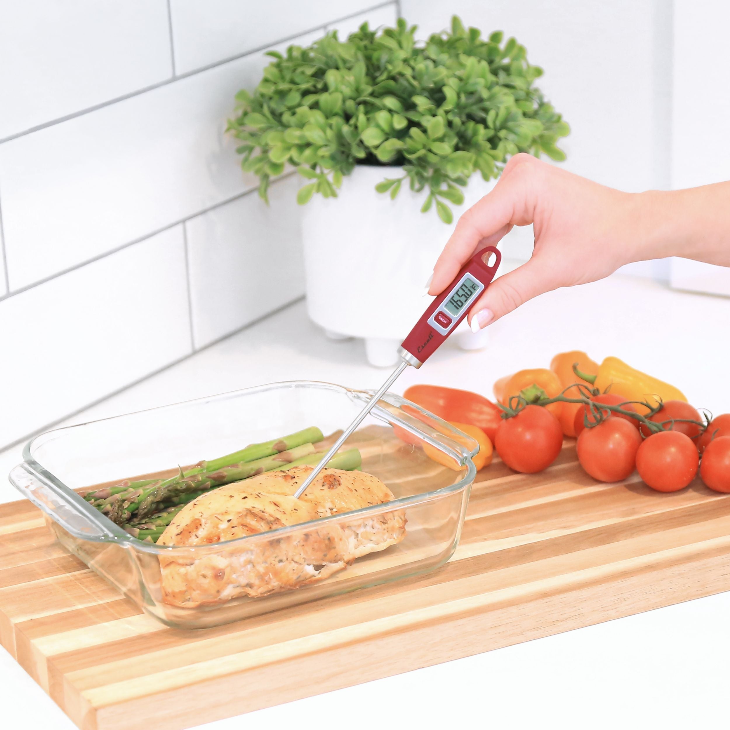 Gourmet Digital Thermometer