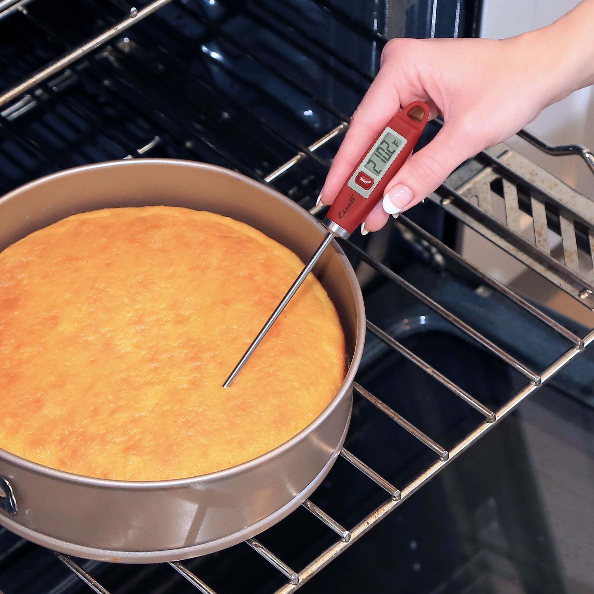 Gourmet Digital Thermometer