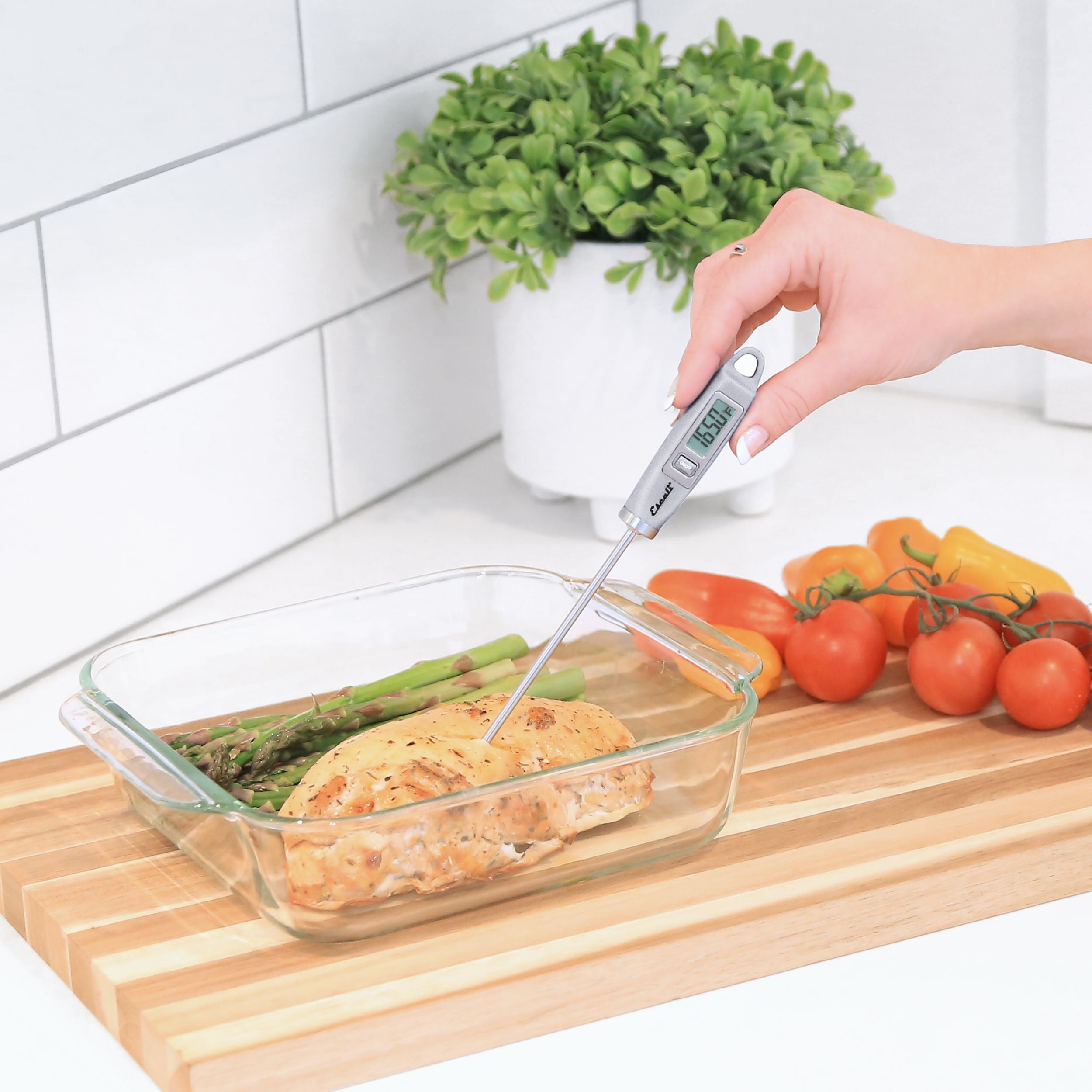 Gourmet Digital Thermometer