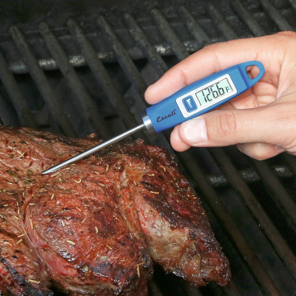 Gourmet Digital Thermometer