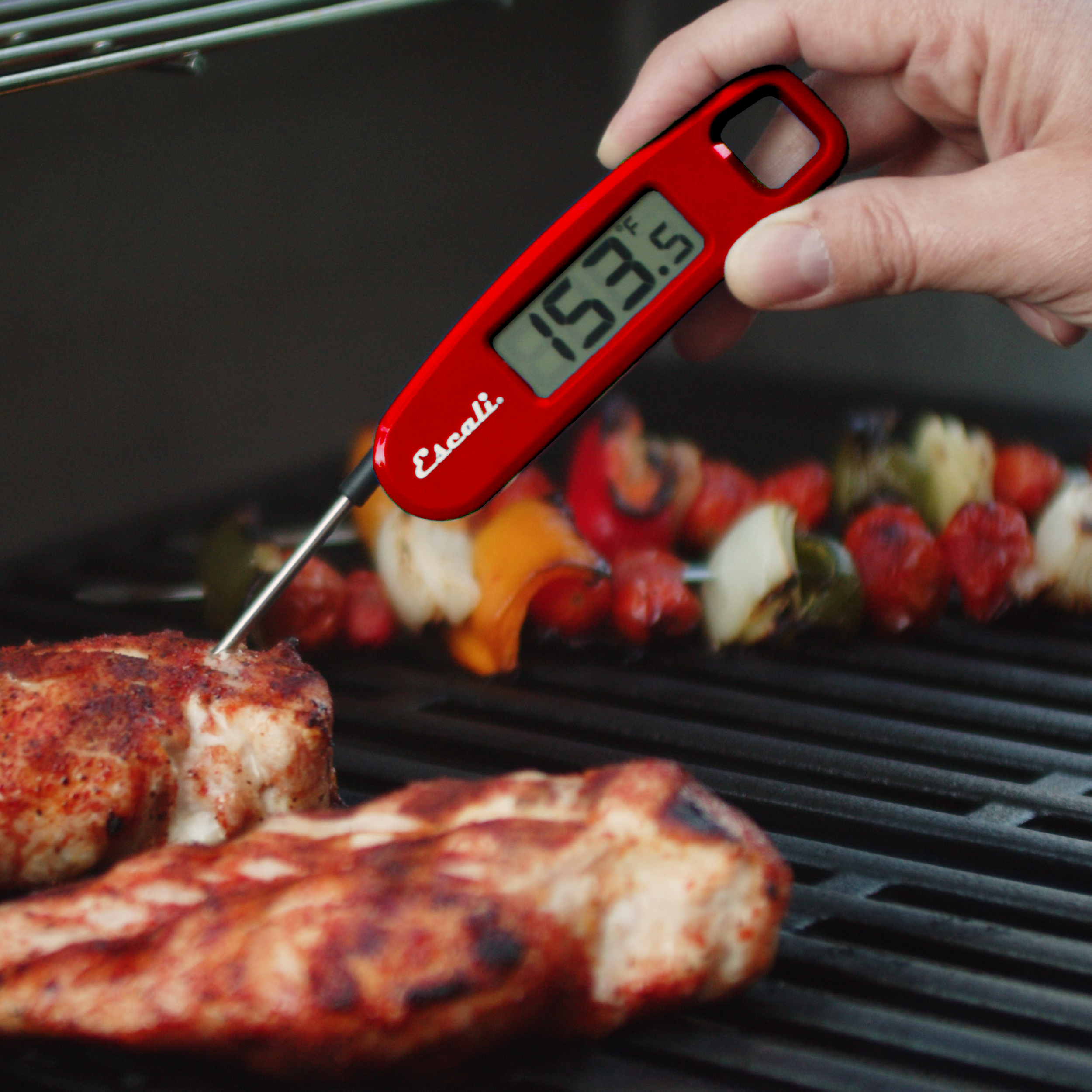 Compact Folding Digital Thermometer