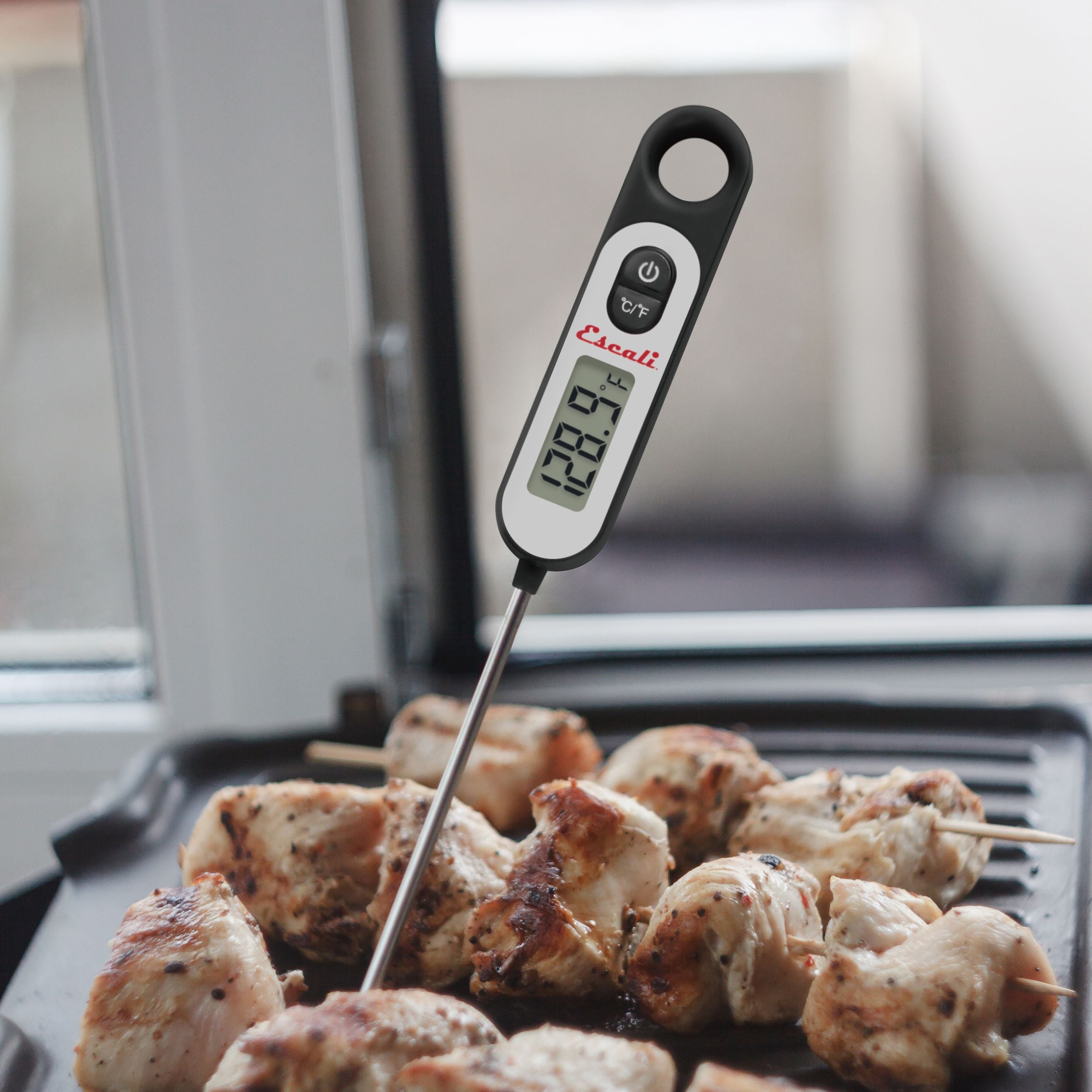Long Stem Digital Thermometer