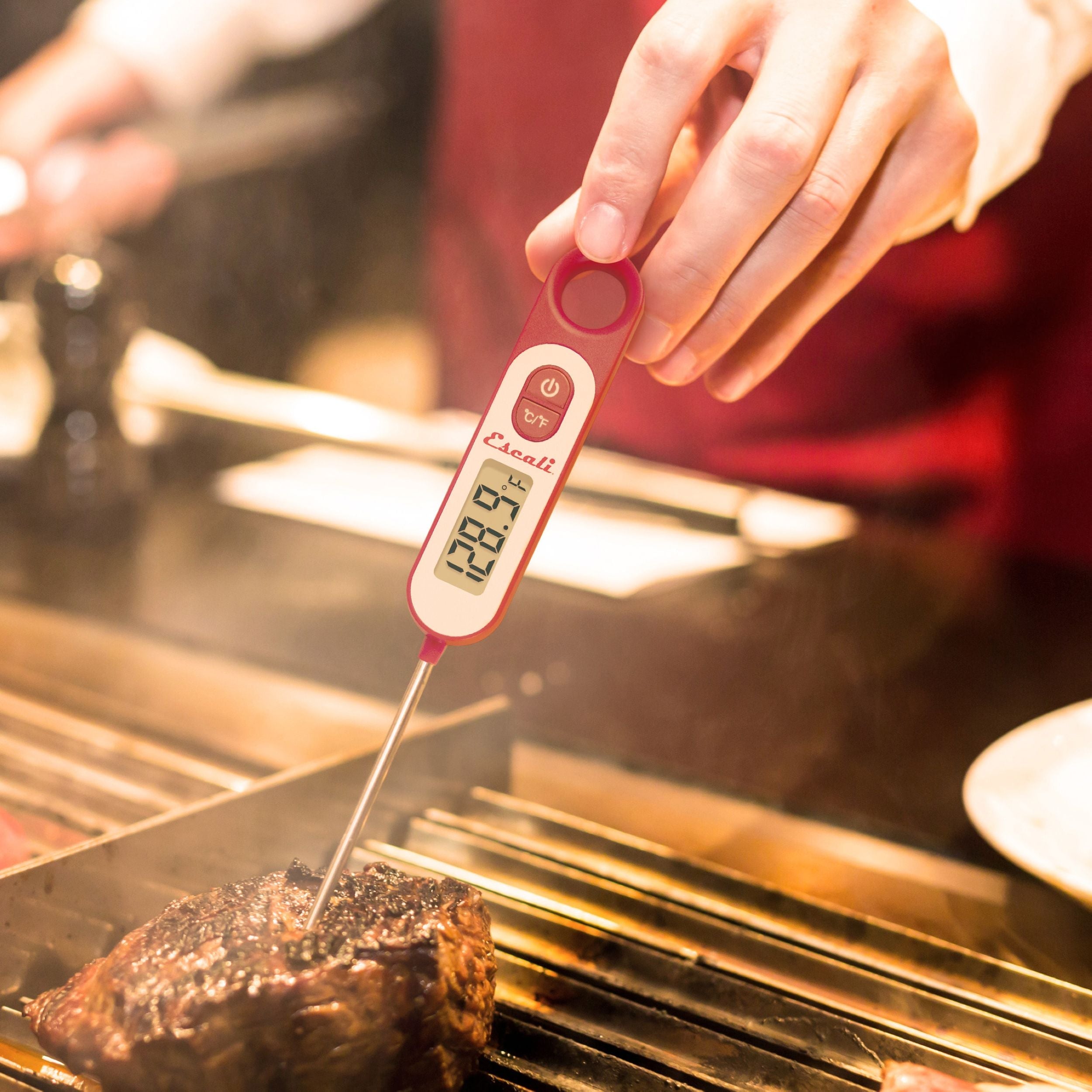 Long Stem Digital Thermometer