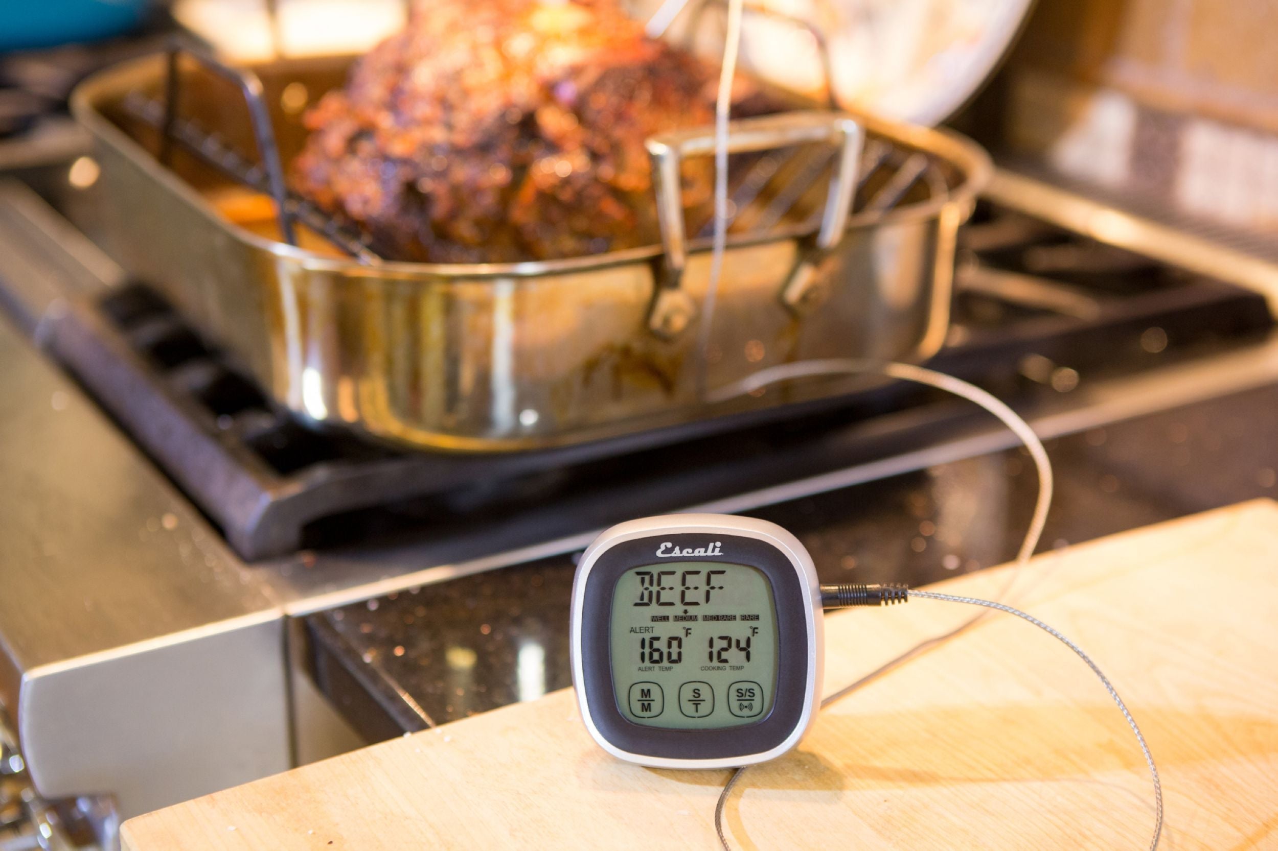 Touch Screen Thermometer & Timer