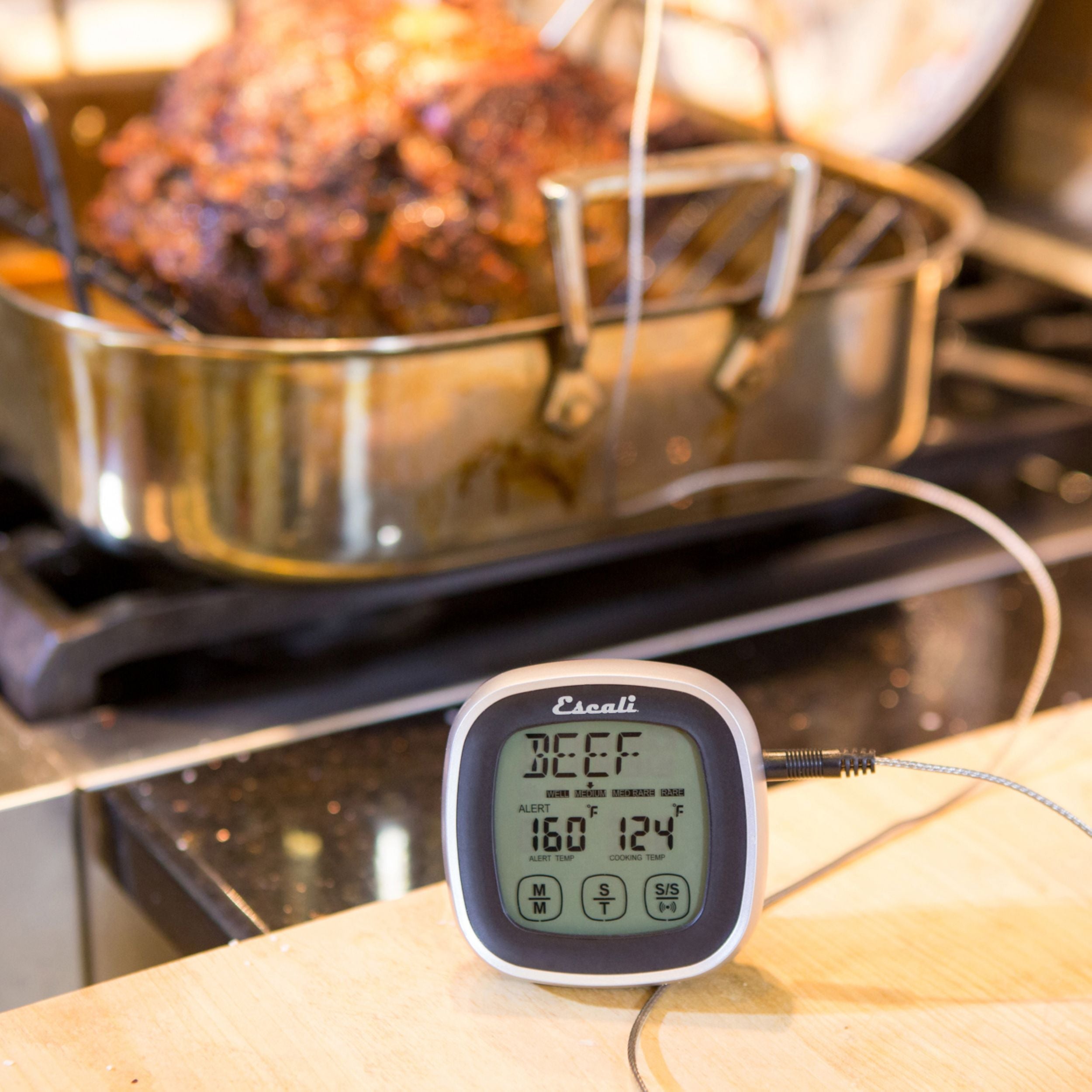 Touch Screen Thermometer & Timer