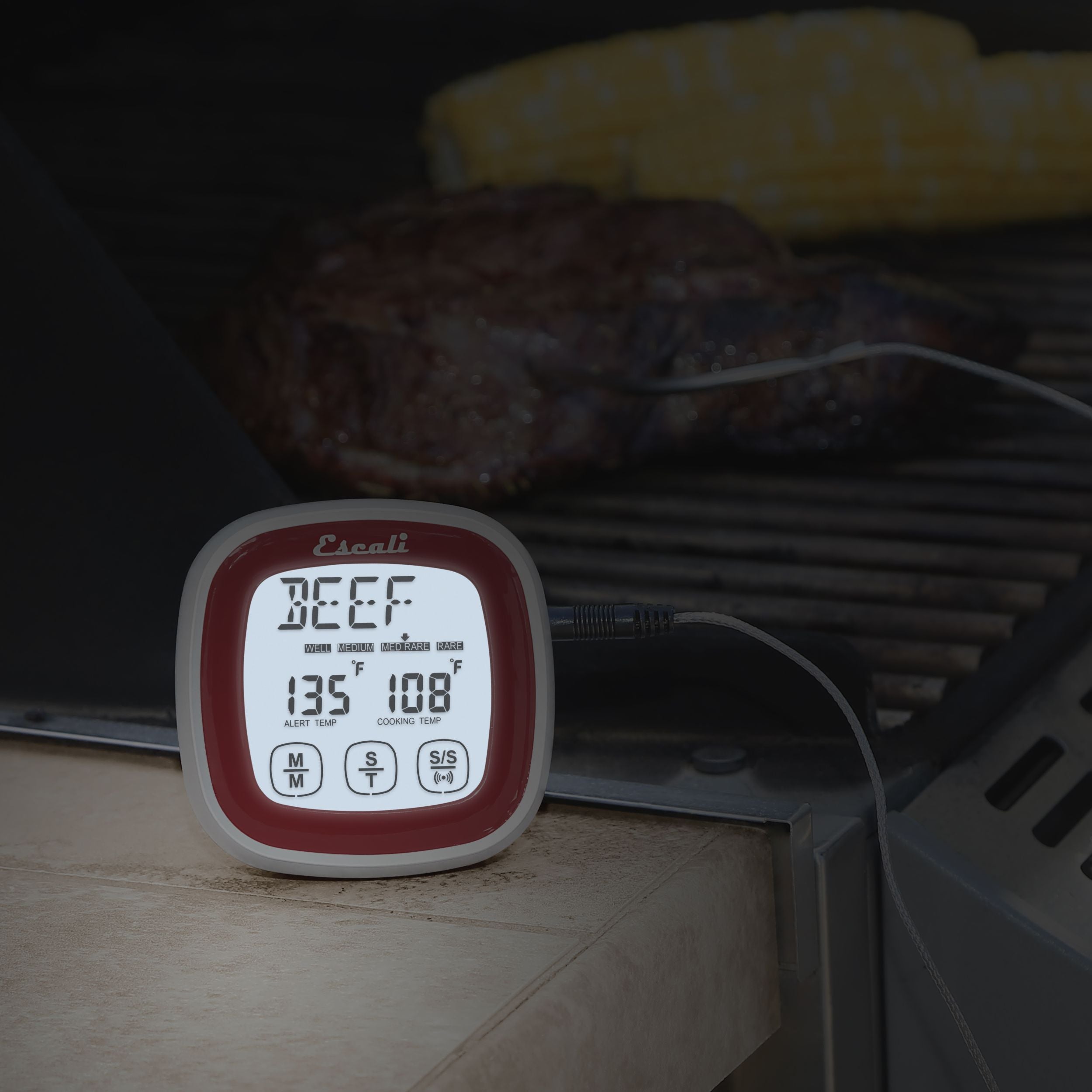 Touch Screen Thermometer & Timer