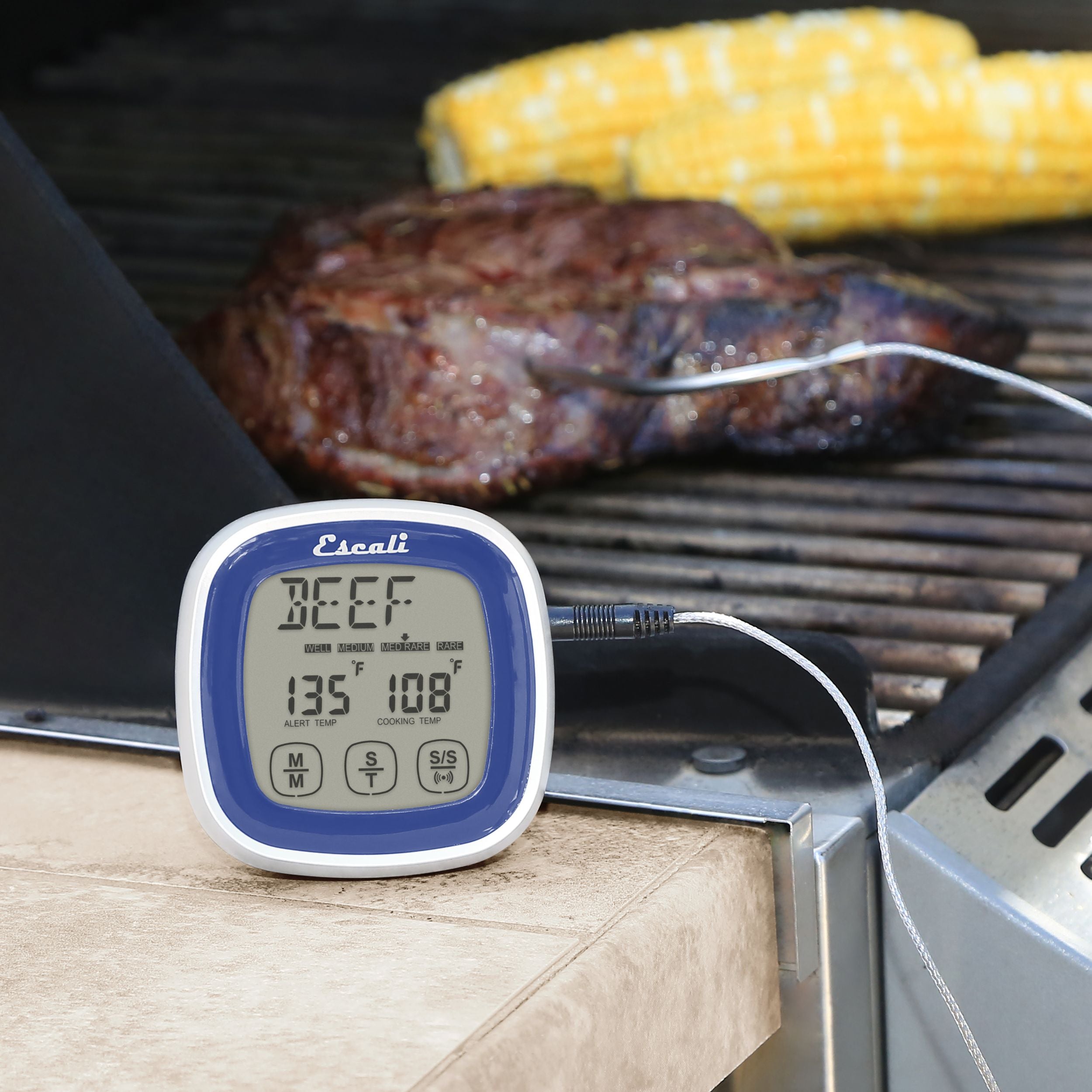 Touch Screen Thermometer & Timer