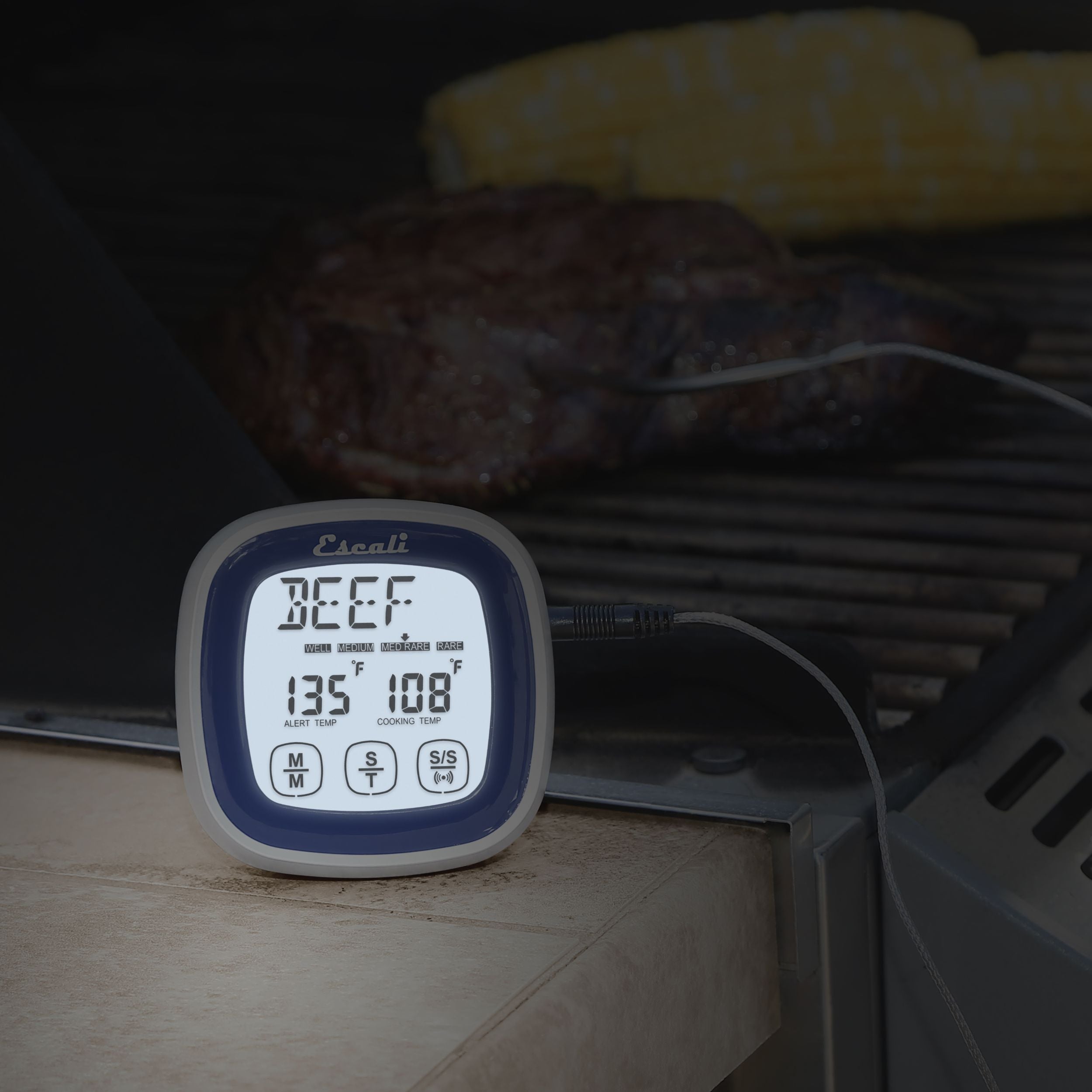 Touch Screen Thermometer & Timer