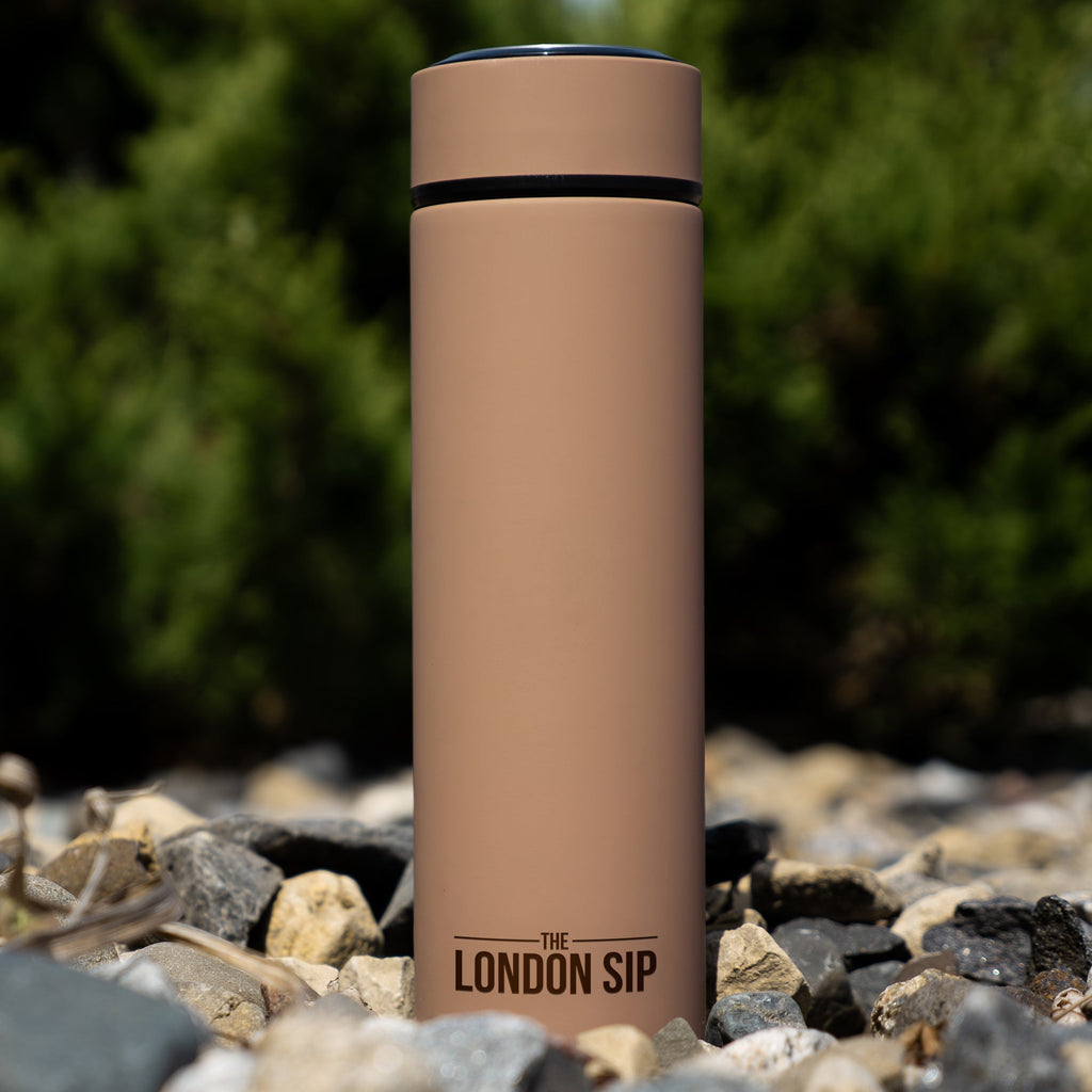 Tea Infuser Bottle - 16 Ounce