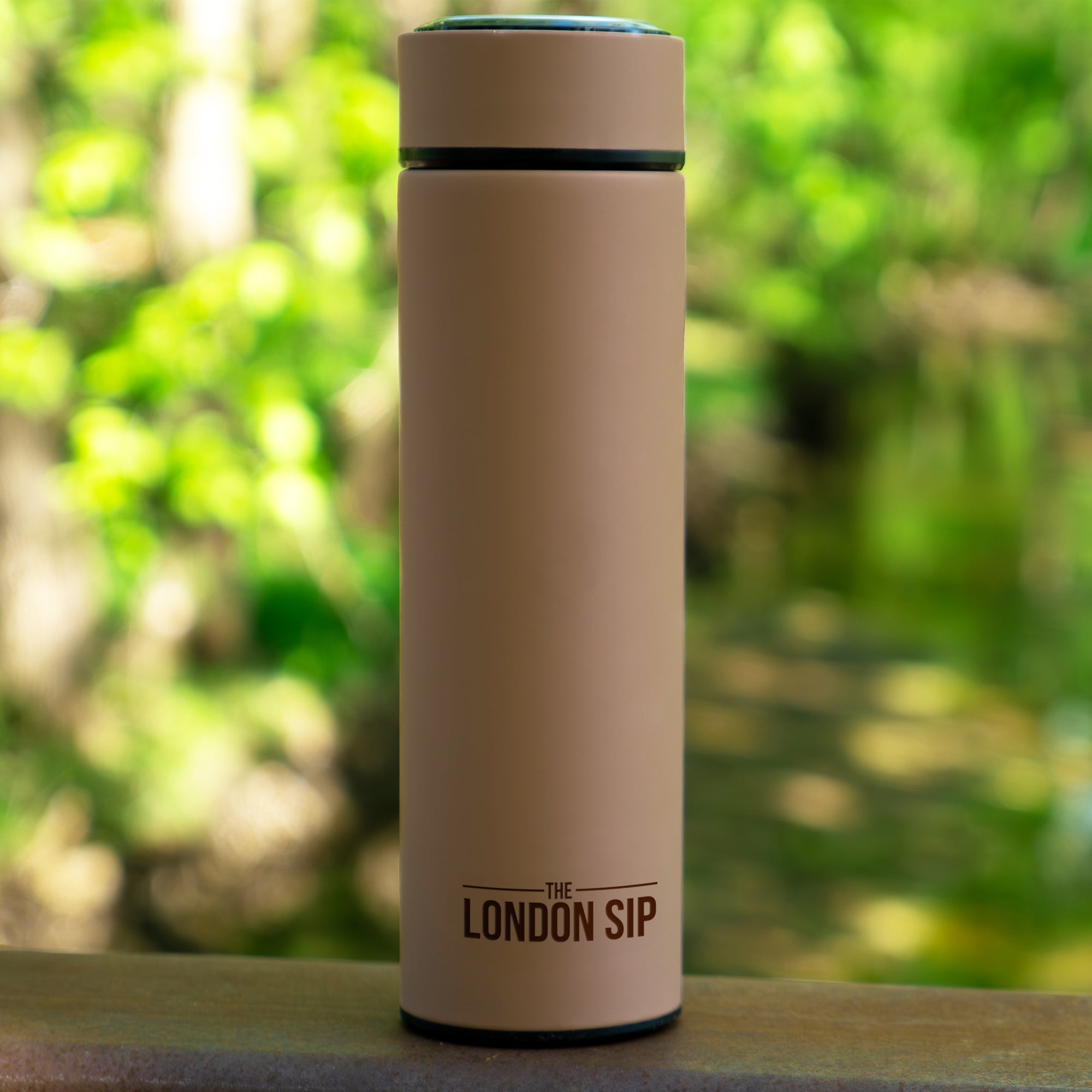 Tea Infuser Bottle - 16 Ounce