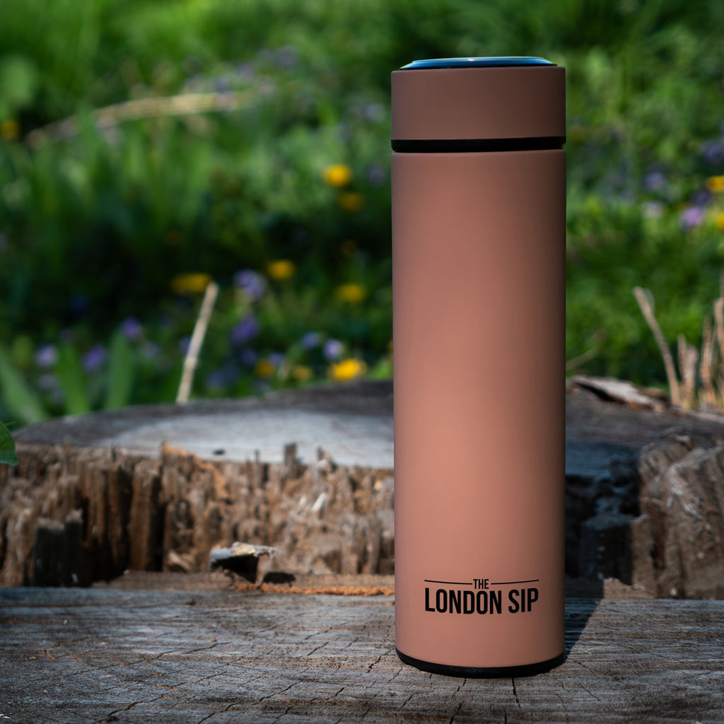 Tea Infuser Bottle - 16 Ounce