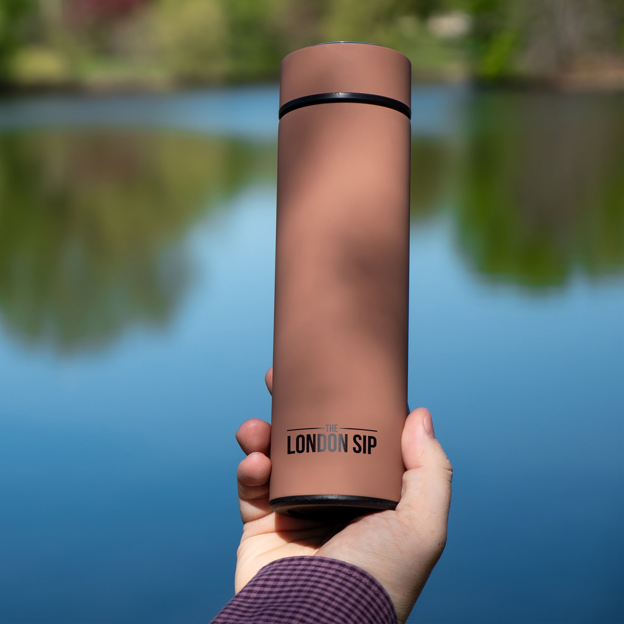 Tea Infuser Bottle - 16 Ounce