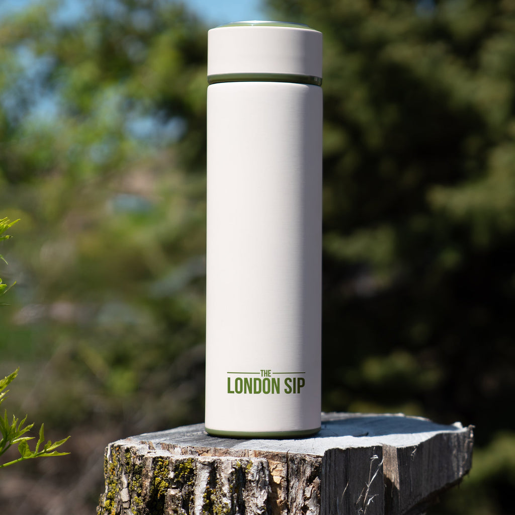 Tea Infuser Bottle - 16 Ounce