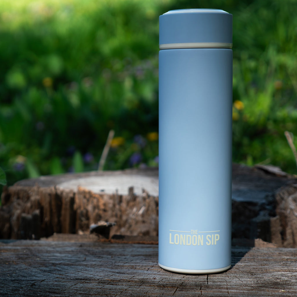 Tea Infuser Bottle - 16 Ounce