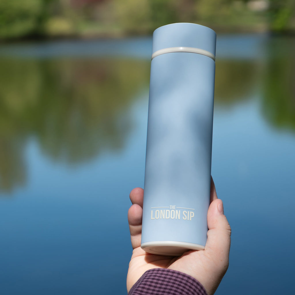 Tea Infuser Bottle - 16 Ounce