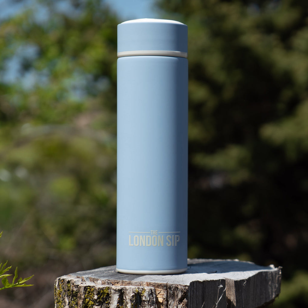 Tea Infuser Bottle - 16 Ounce