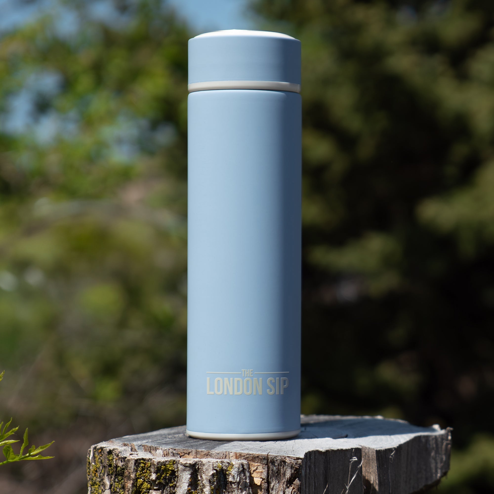 Tea Infuser Bottle - 16 Ounce